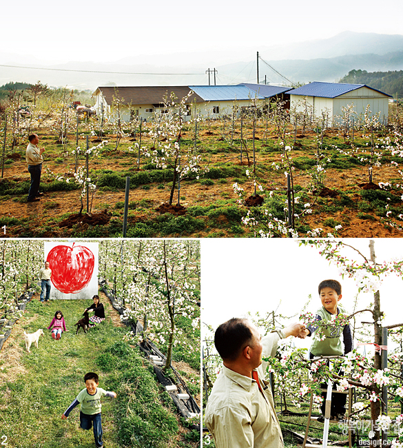 전남 장수에서 사과 농장 운영하는 화가 정진흔 씨-낮에 밭 갈고 밤에 그림 그리다 - 2007년 6월 [첨부 이미지1]